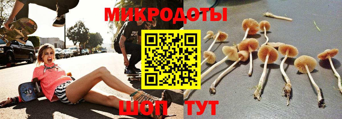 Галлюциногенные грибы GOLDEN TEACHER  Вход с VPN  Галлюциногенные грибы GOLDEN TEACHER  Каспийск 
