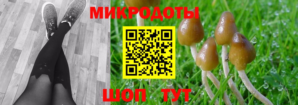 Псилоцибиновые грибы прущие грибы Каспийск